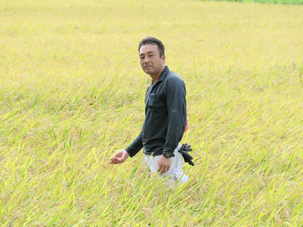 稲に囲まれた五十嵐さん