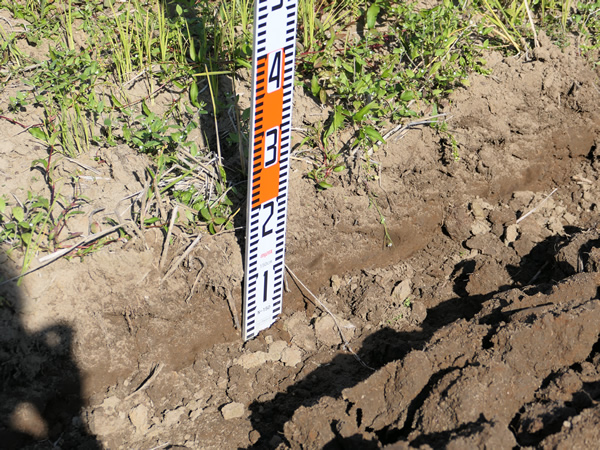 耕深は18cm