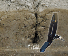ナイフキーパ