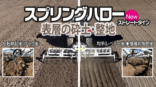 好評のスプリングハローにストレートタインが新登場！